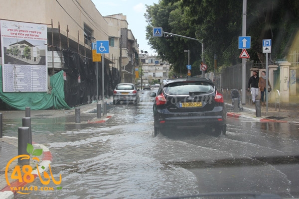 arain in yaffaj3 (7).JPG